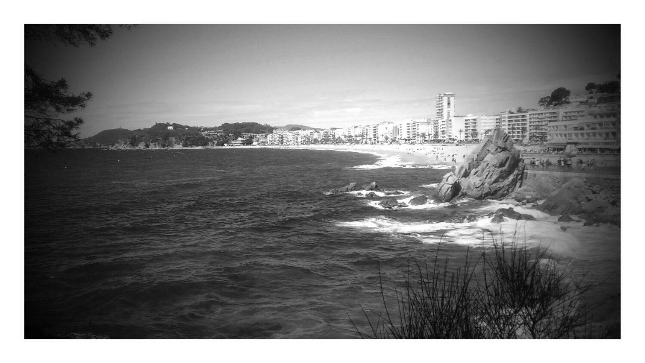 Penisqueira Daire Ribeira Dış mekan fotoğraf
